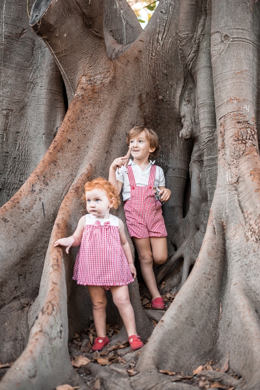 Fotografía de niños en el tronco de un árbol